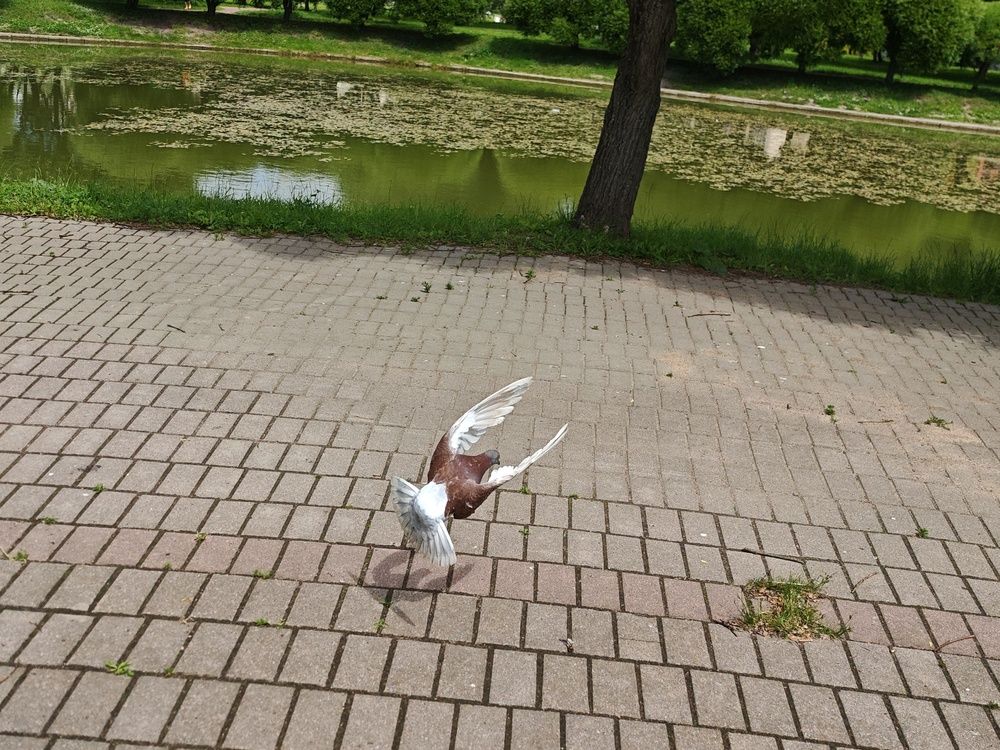 Photograph by Андрей