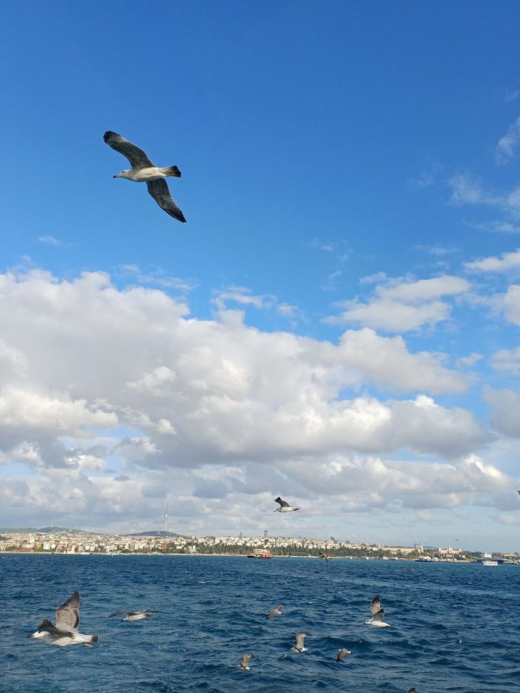Photograph by Наталья Григорьева