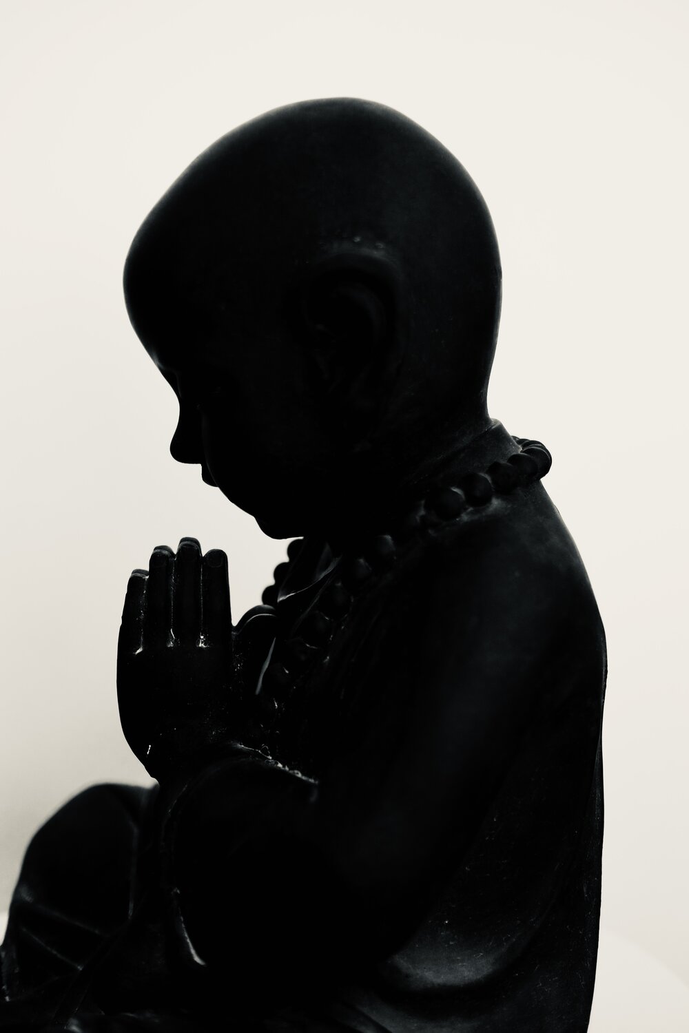 Photo #13730527