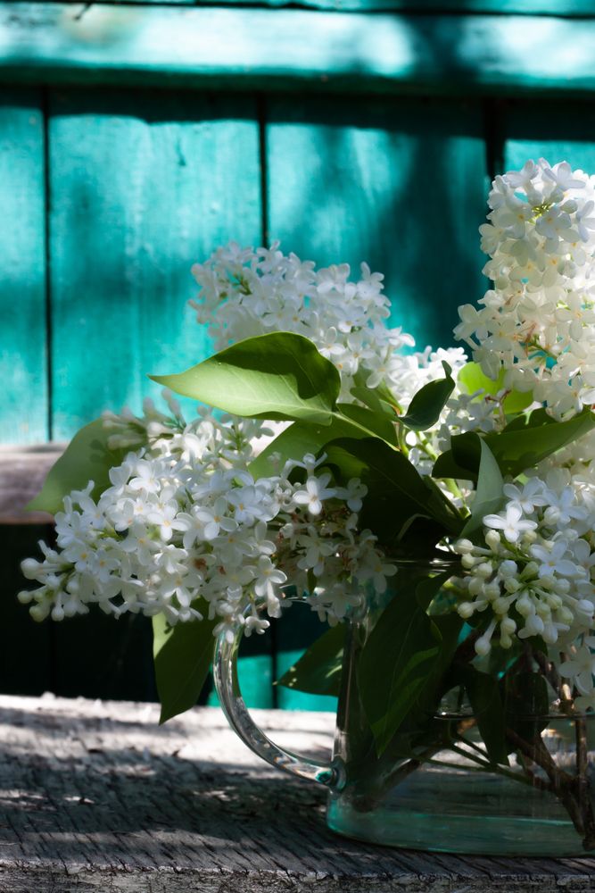 Photograph by Марина Ершова