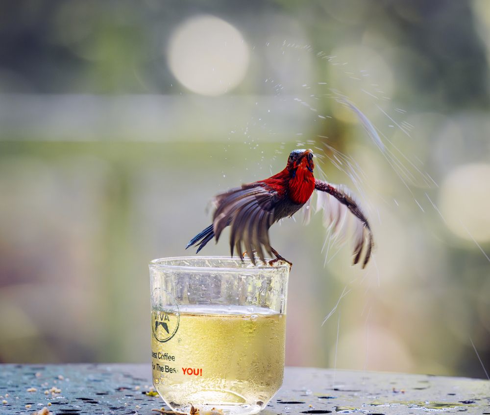 Photograph by Lê Huy Anh