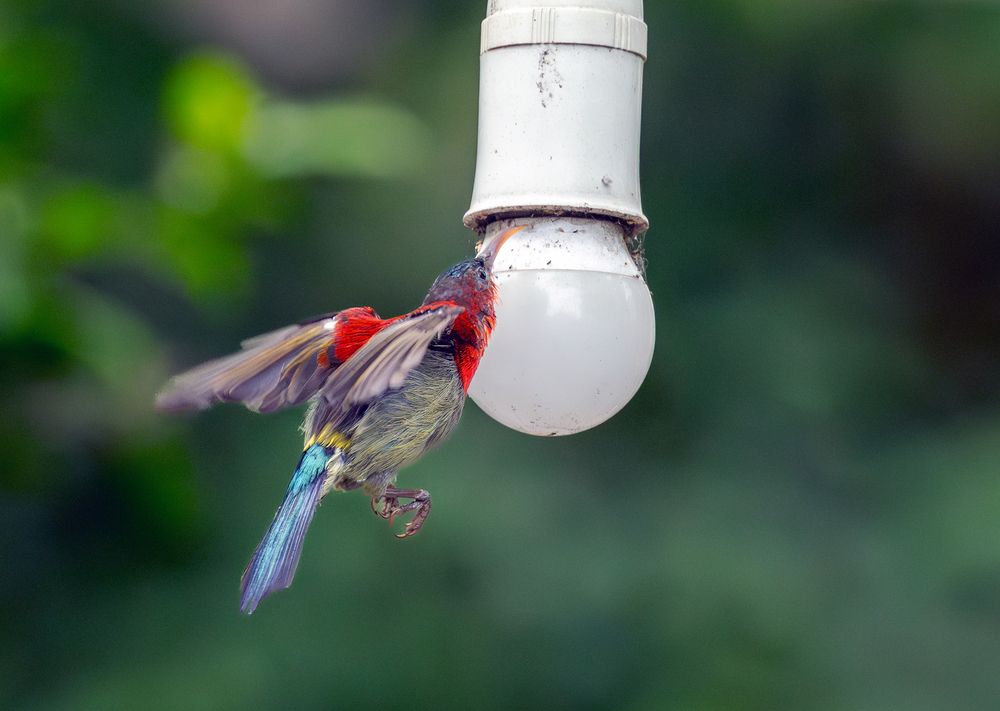 Photograph by Lê Huy Anh