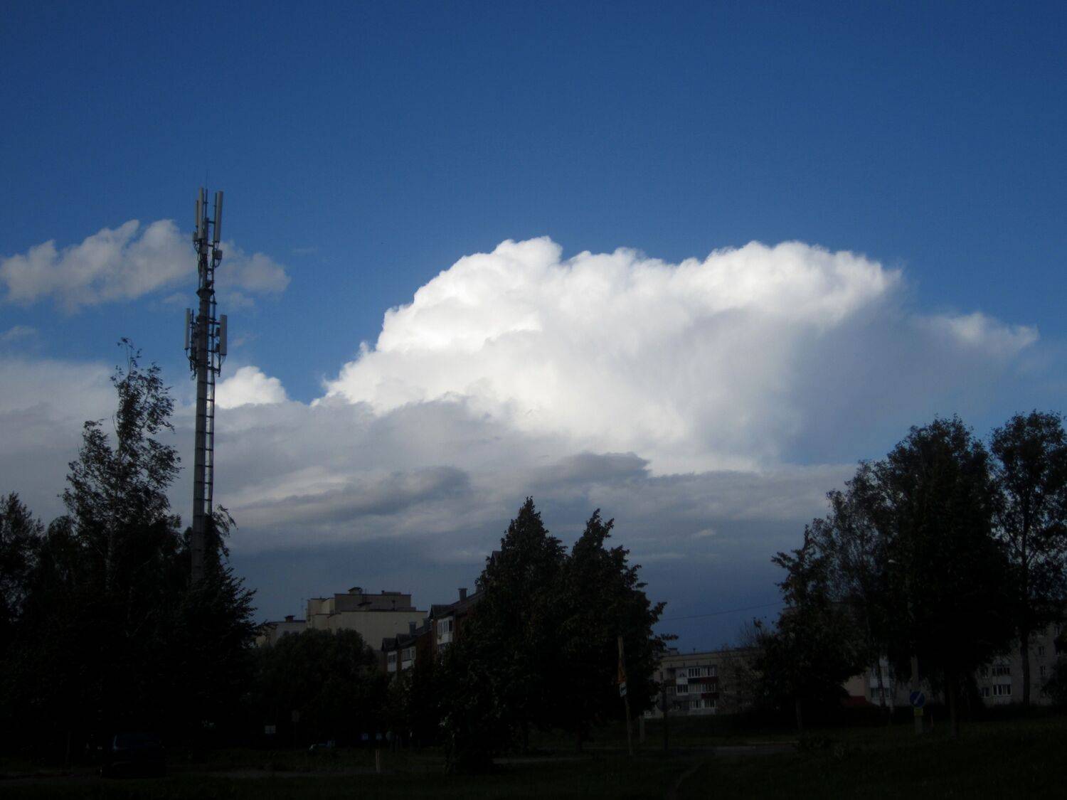 Photo #13730636
