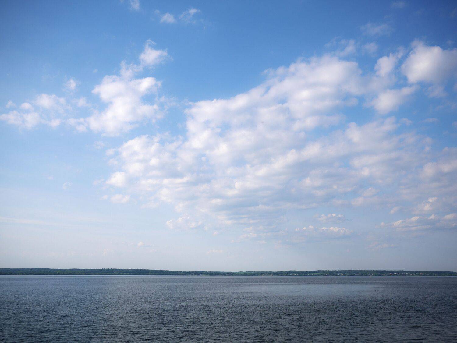 Photo #13730692