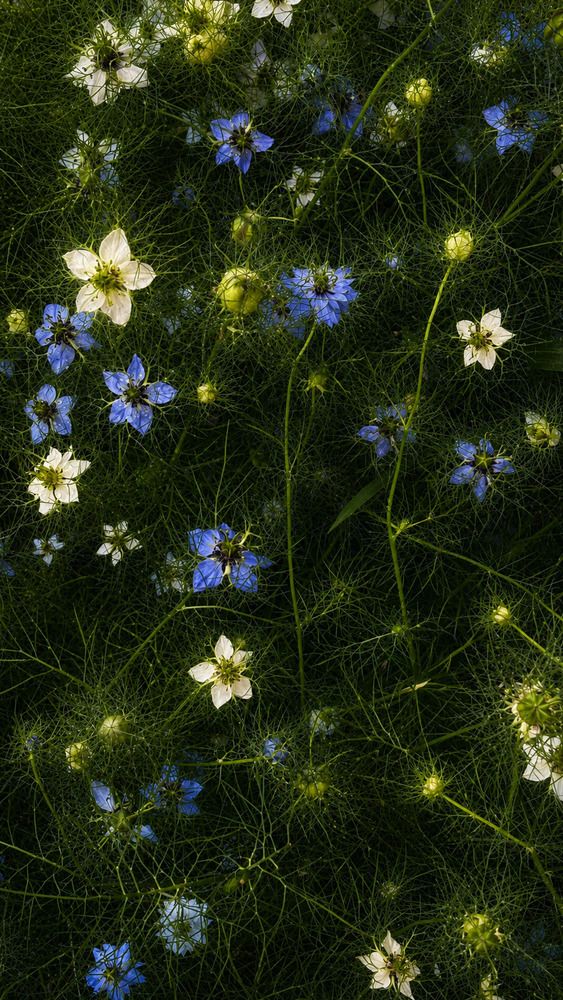 Photograph by Елена Громова