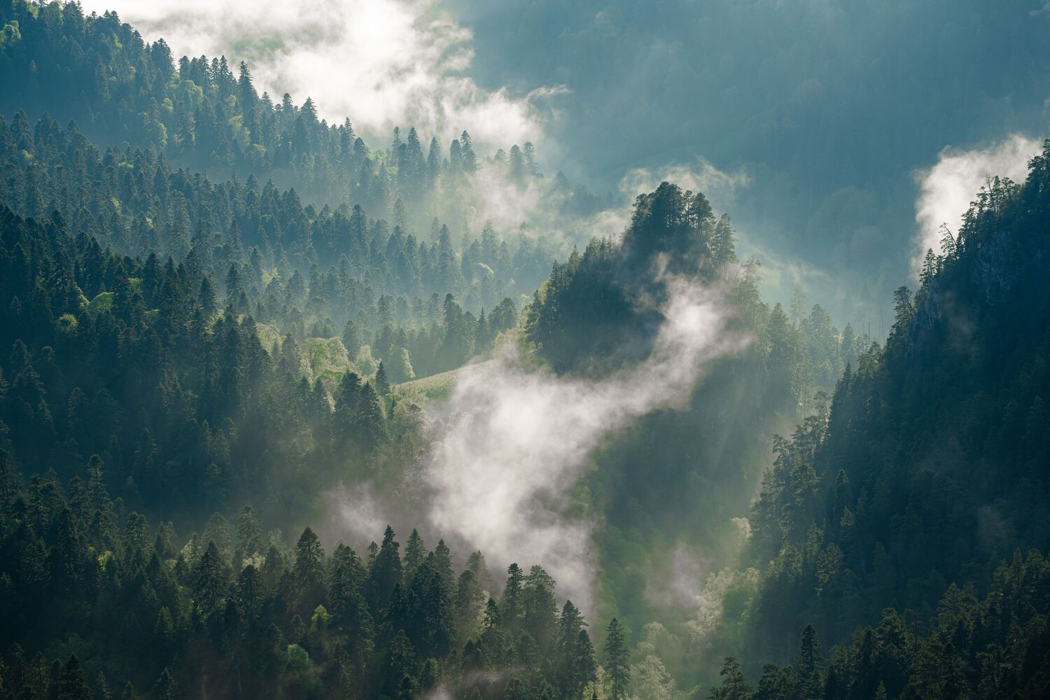 Photo #13730773