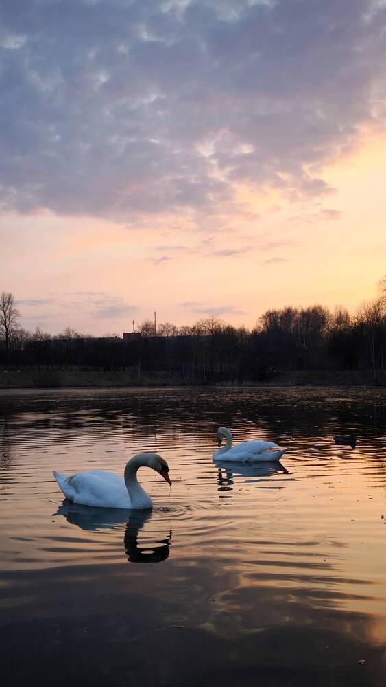 Photograph by Eugenia Blinova