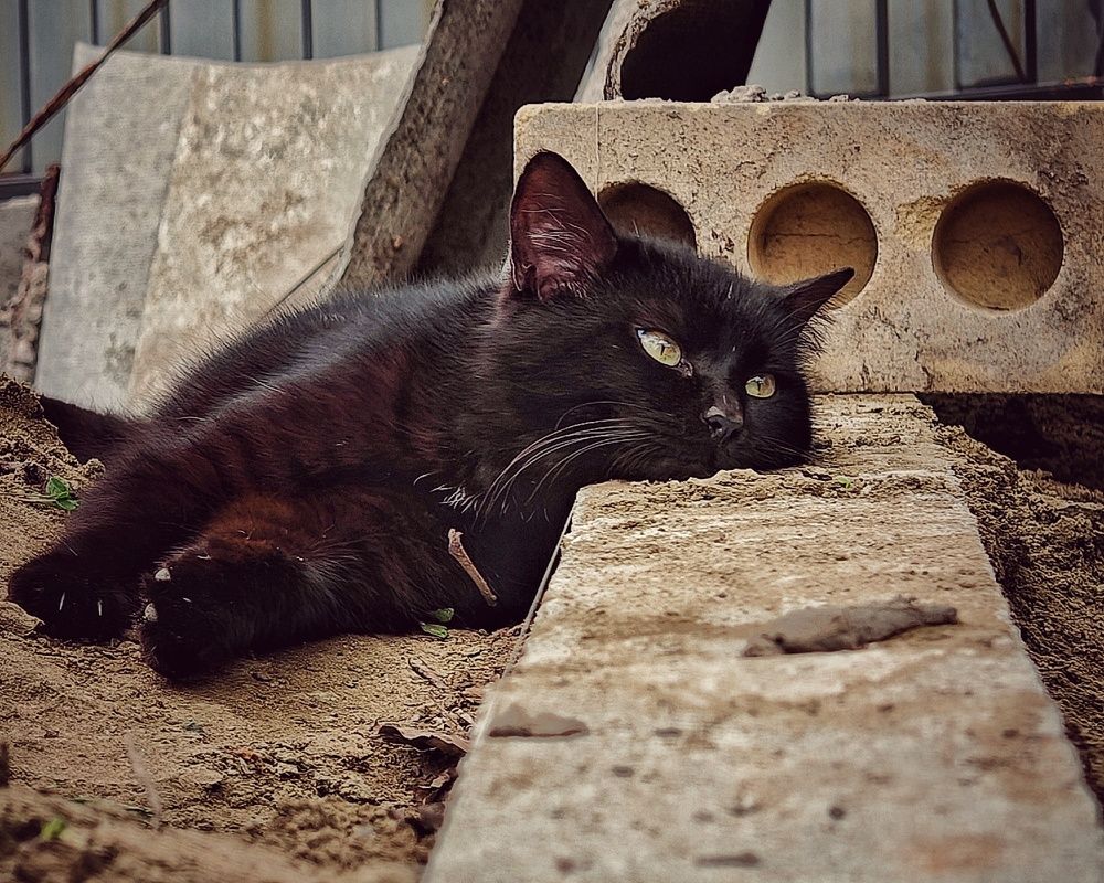Photograph by Сергей Кошин