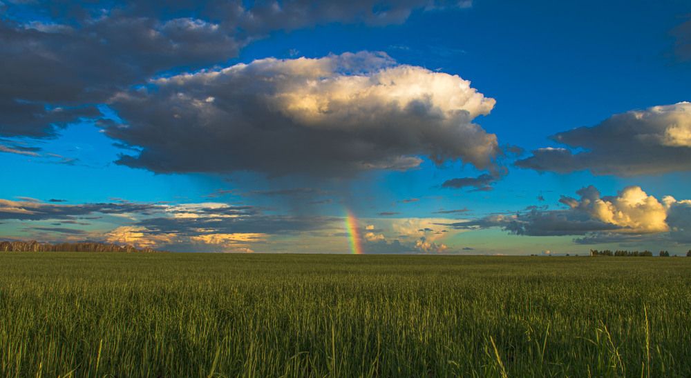 Photograph by Шабалин Игорь