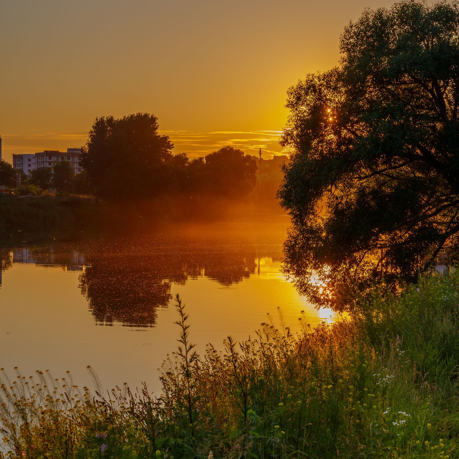 Photo #13731166