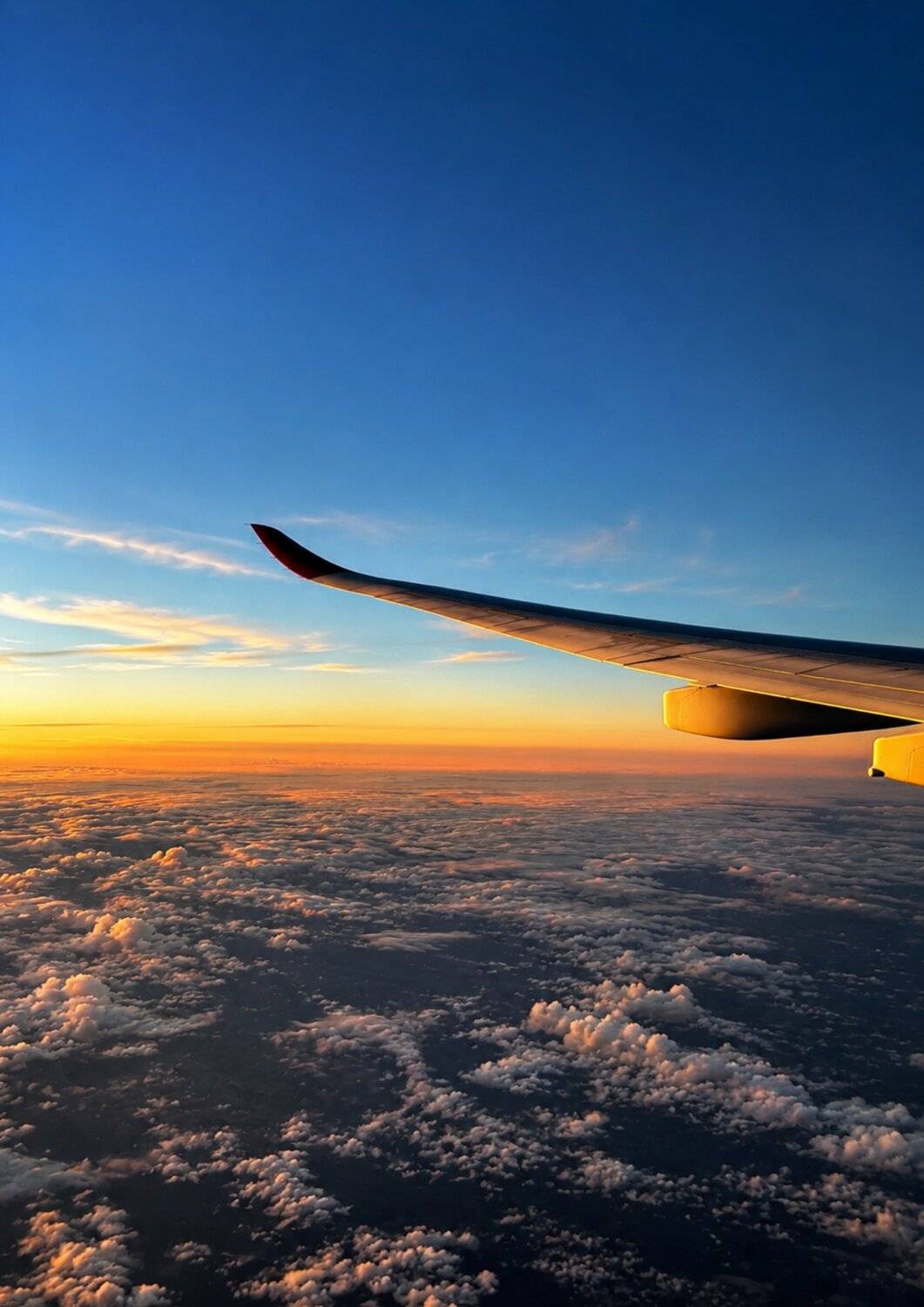 Above the Golden World