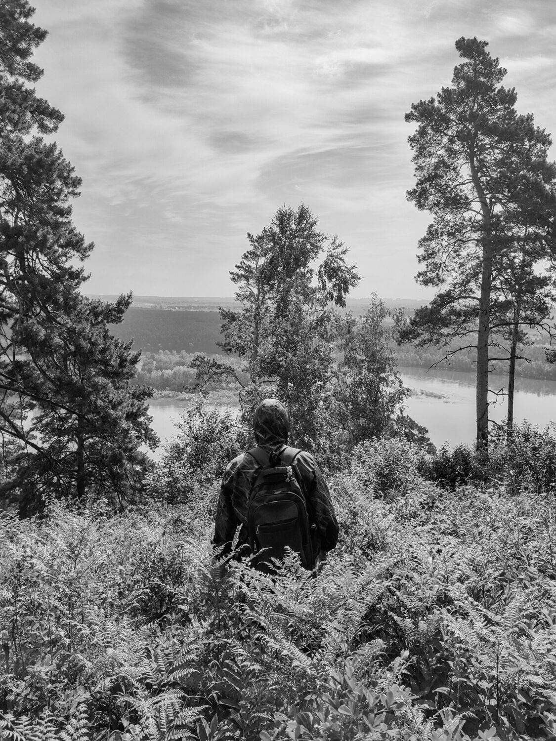 Photo #13731188