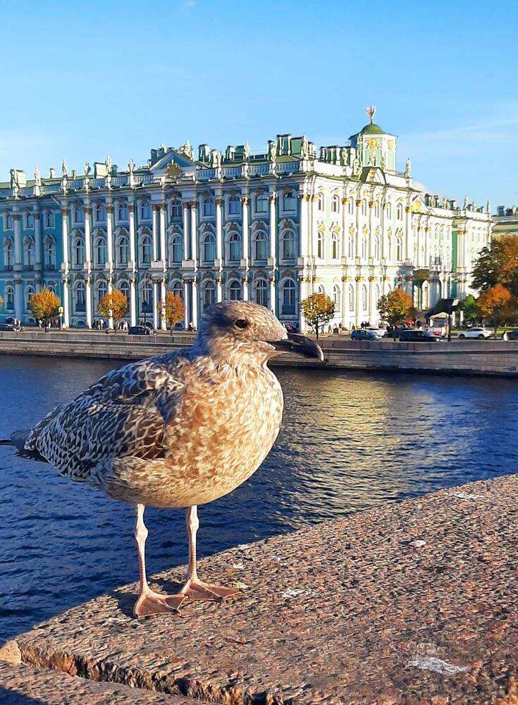 Photograph by Yulia Terentieva