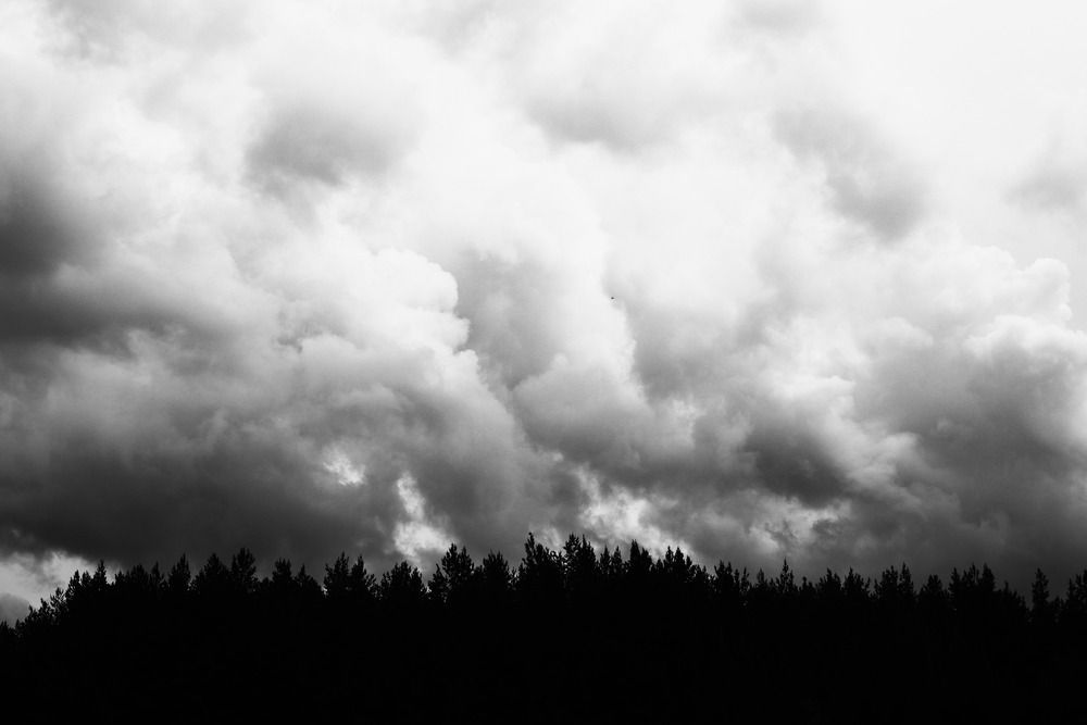 Photograph by Iuliia Tutynina