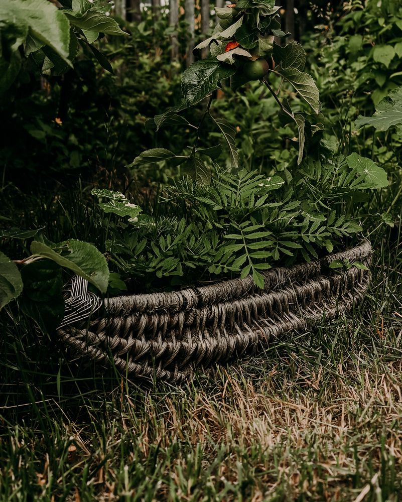 Photograph by Екатерина Савеня