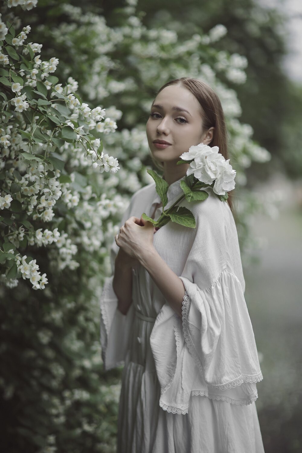 Photo #13731290