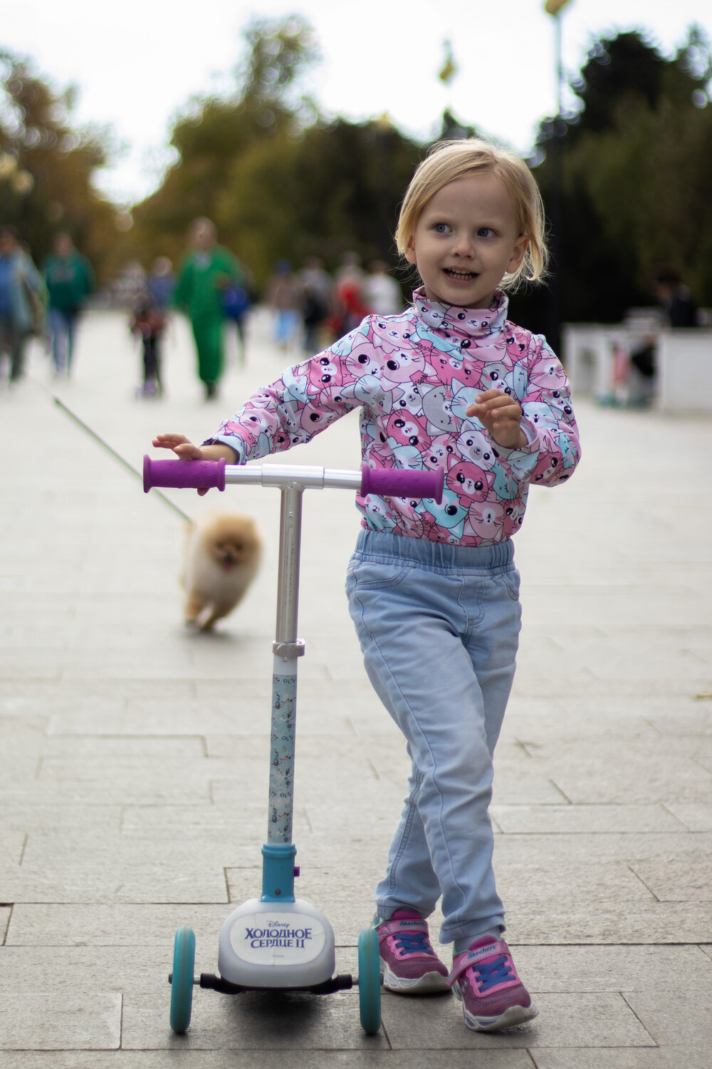 Photo #13731292
