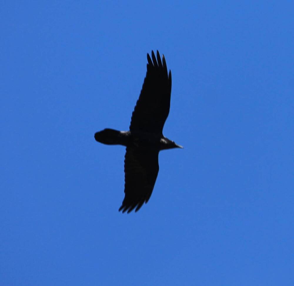 Photograph by Ljiljana Nedeljković