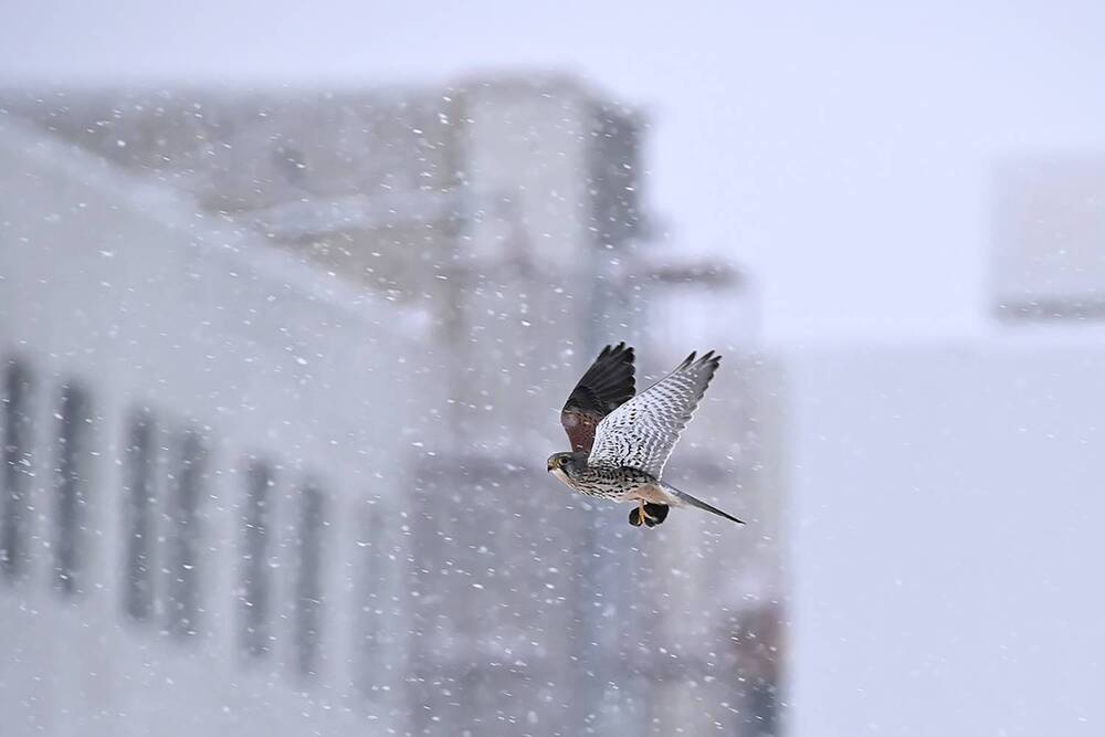 Photograph by Наталья