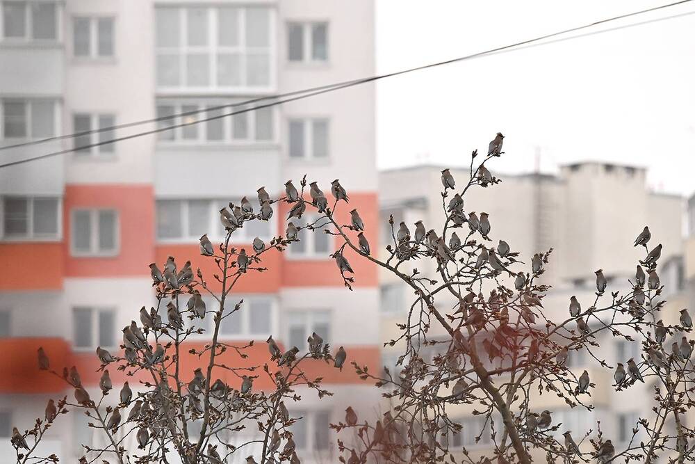 Photograph by Наталья