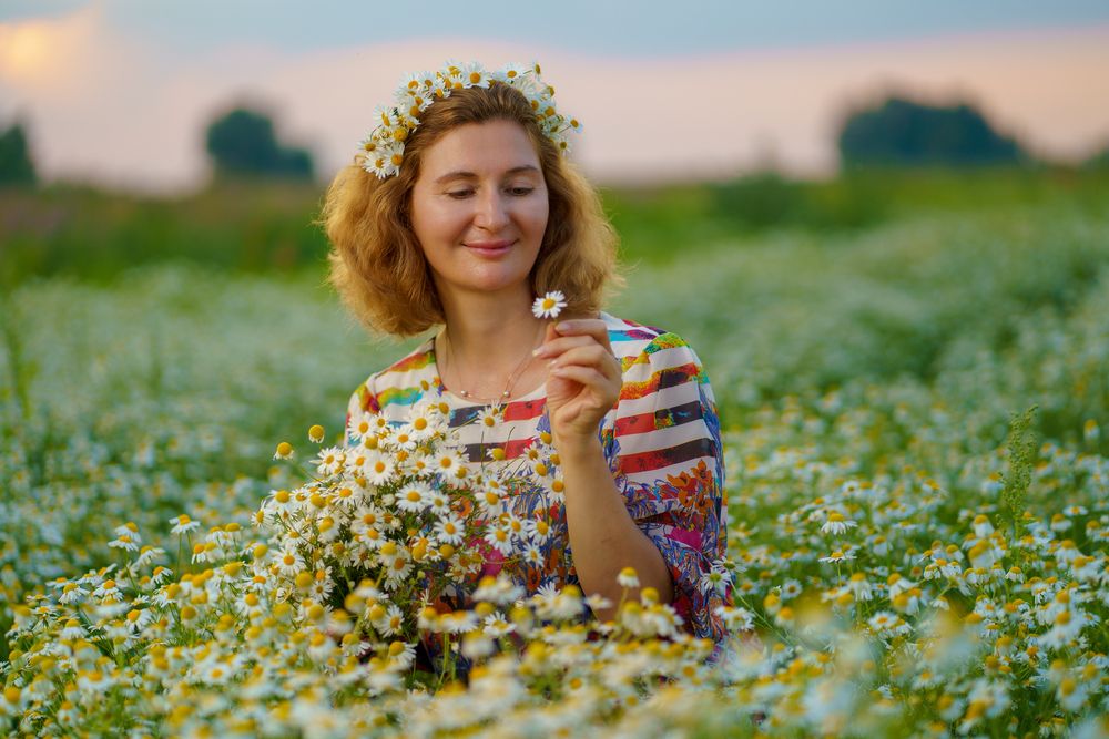 Закат в ромашках