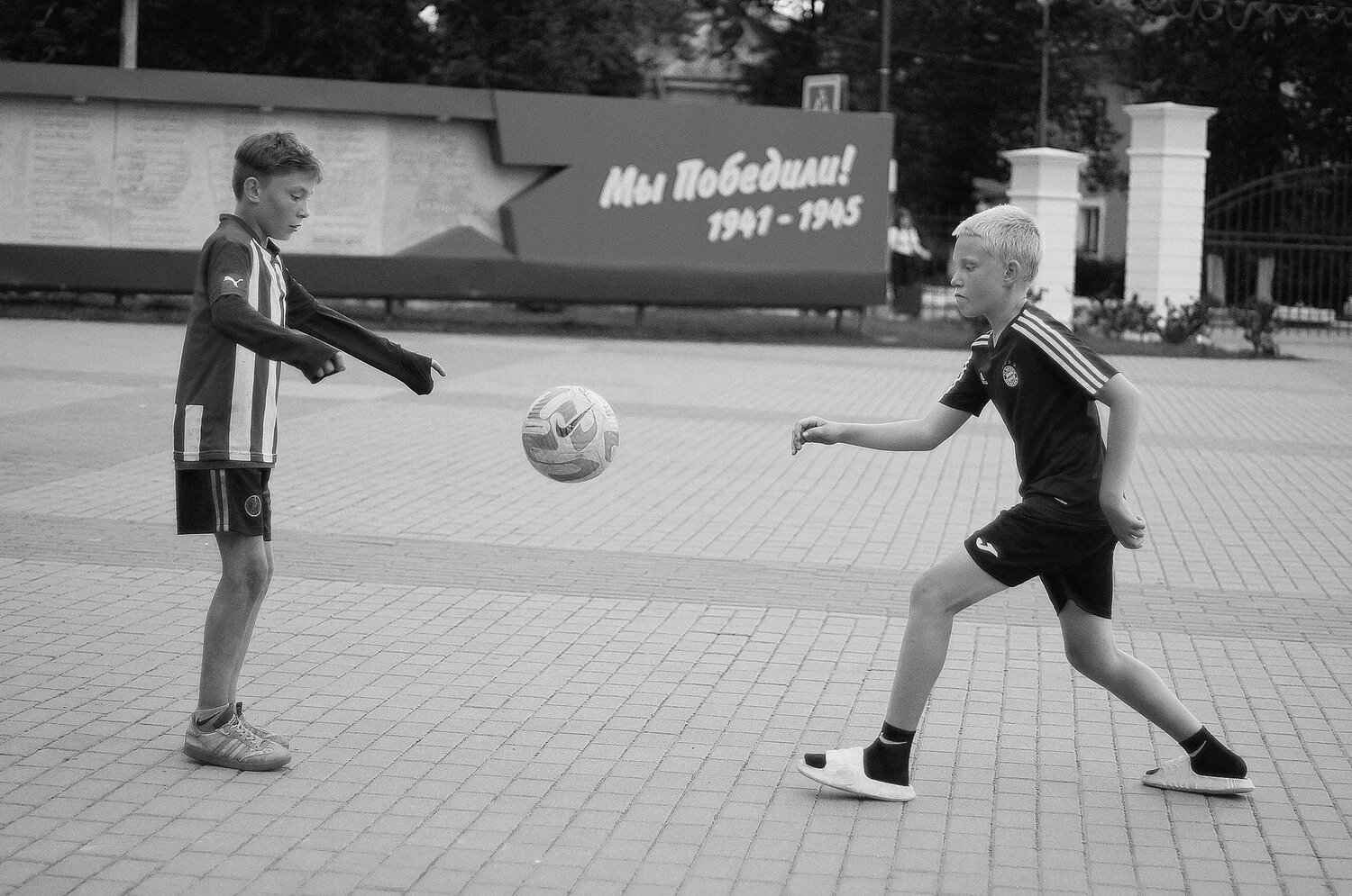 Photo #13731423