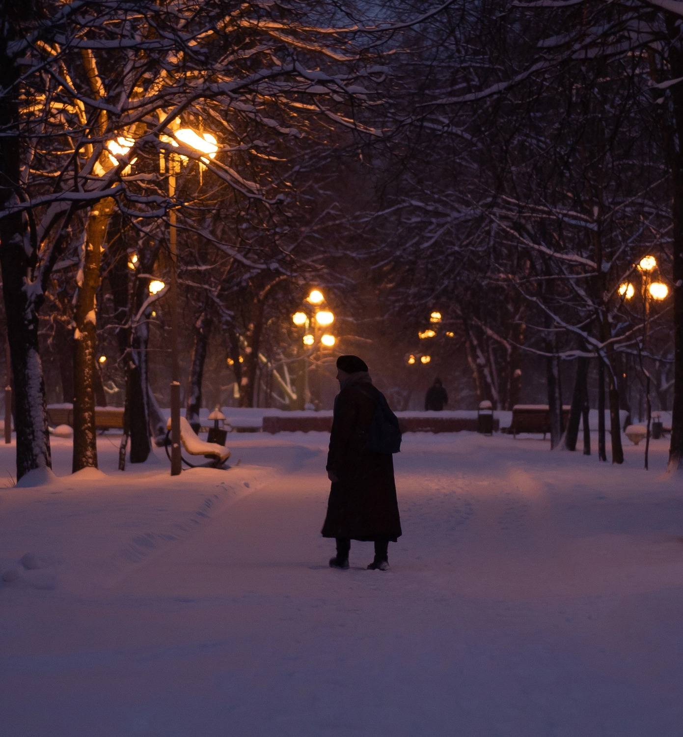 Photo #13731456