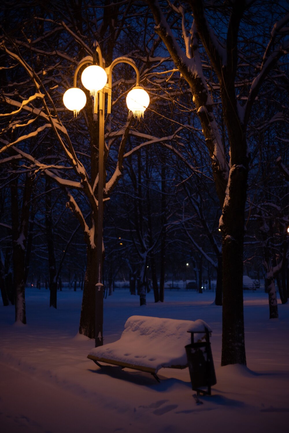 Photo #13731479