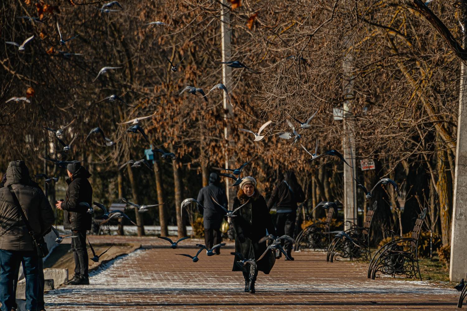 Photo #13731527