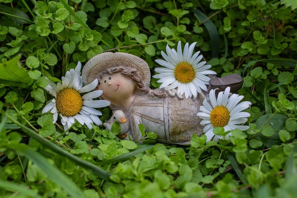 Photograph by Евгения Снигирева