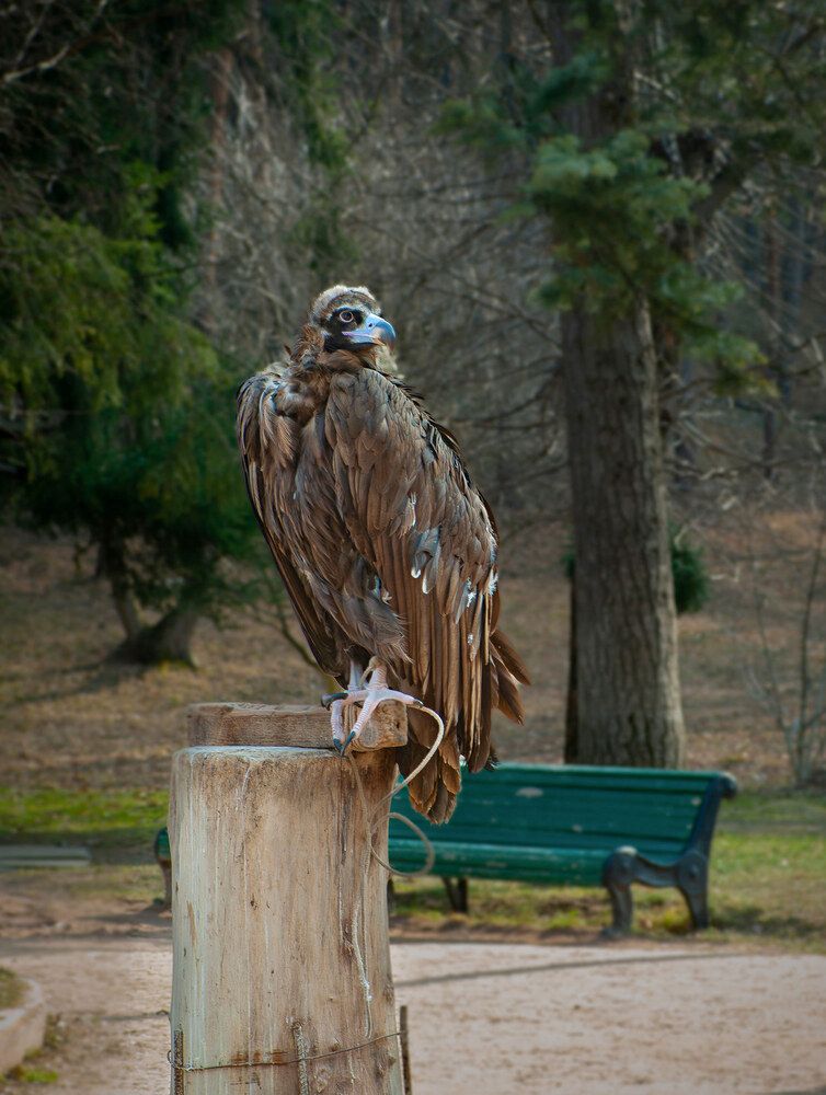 Photograph by Александр Лебедев