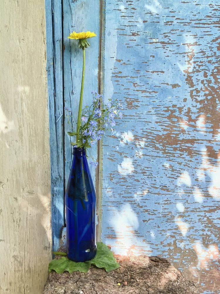 Photograph by Елена Охапкина