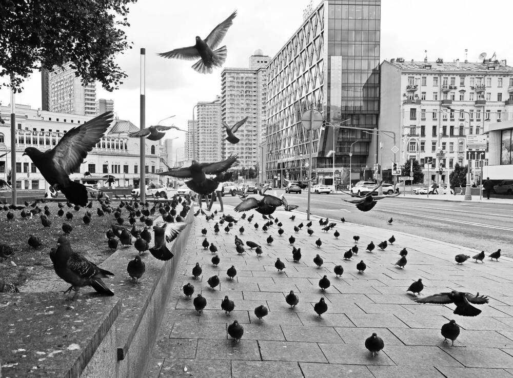 Photograph by Сергей Маслов