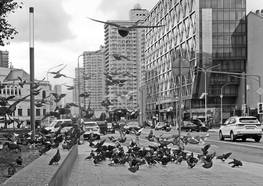 Photograph by Сергей Маслов