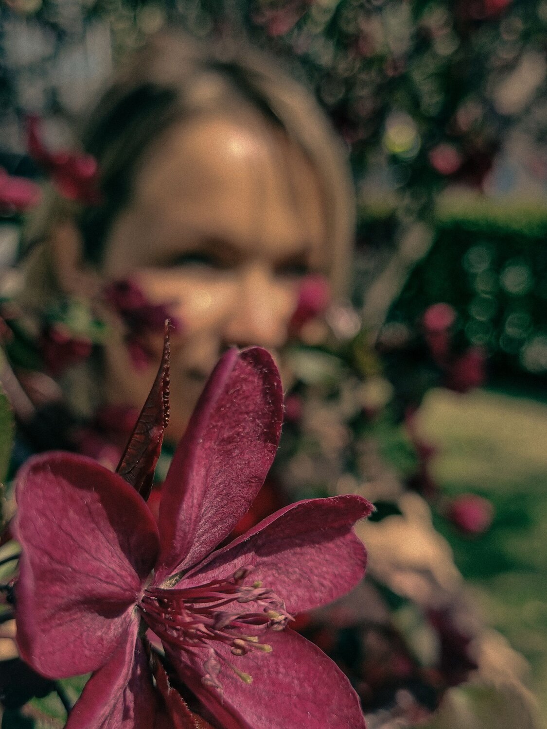 Photo #13731749