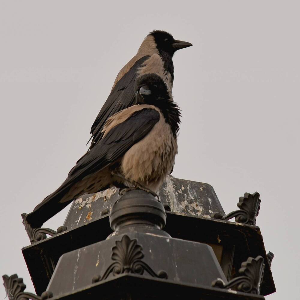 Photograph by Евгений Климов