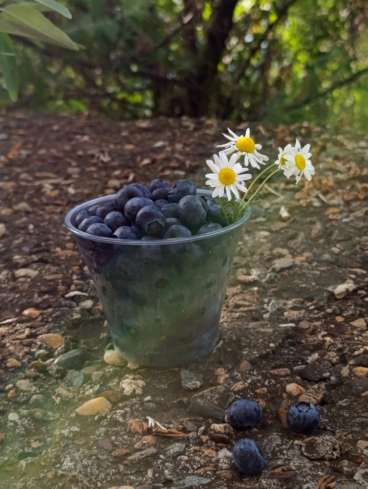 Photograph by Алена Марченко
