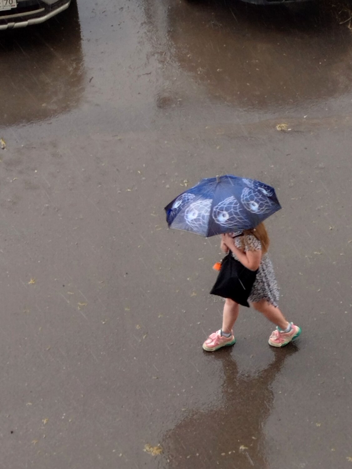 Photo #13731847