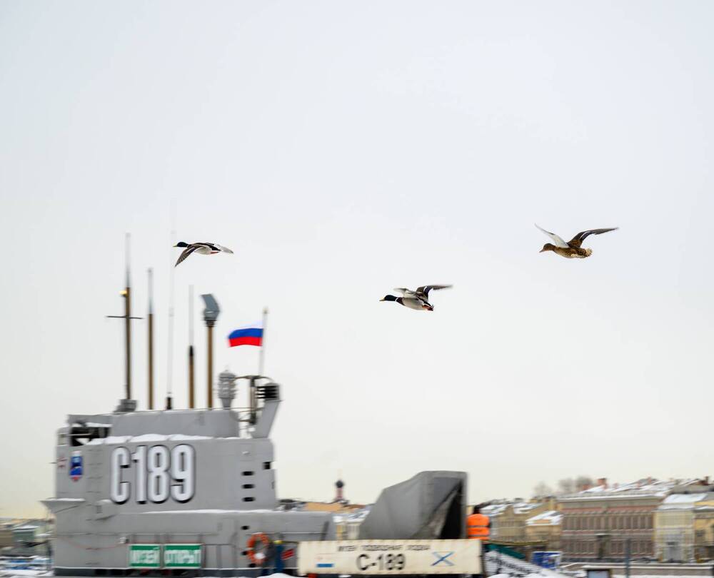 Photograph by Василий Богомолов