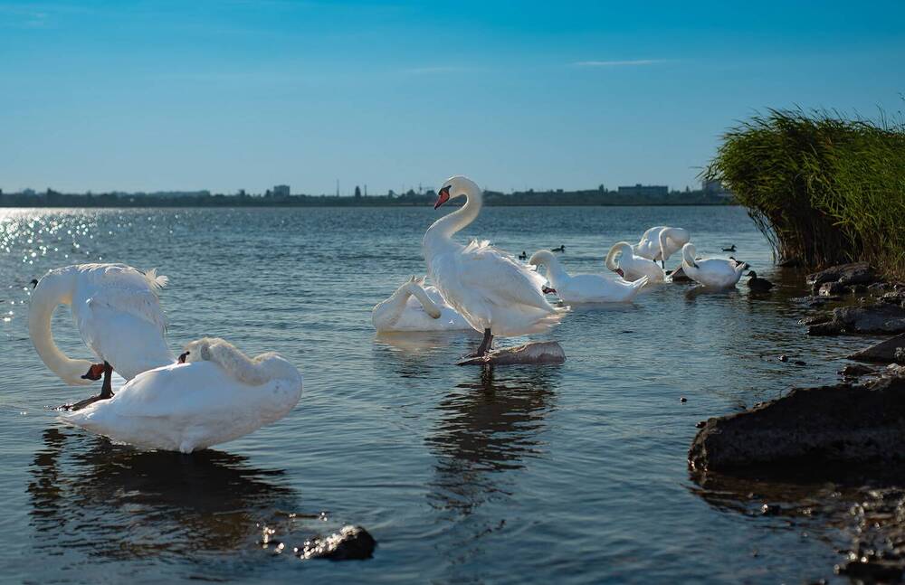 Photograph by Александр Лебедев