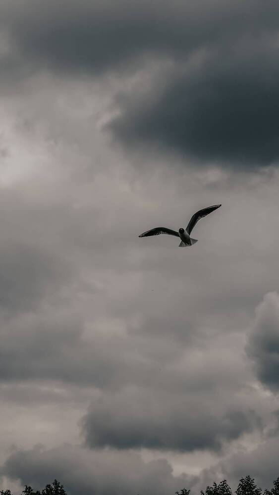 Photograph by Алеся Гурьянова