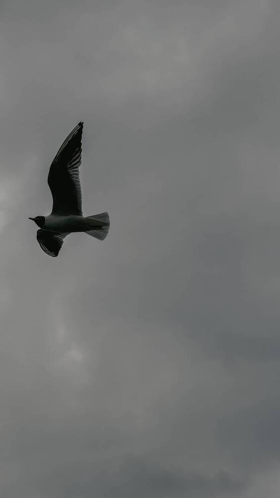 Photograph by Алеся Гурьянова