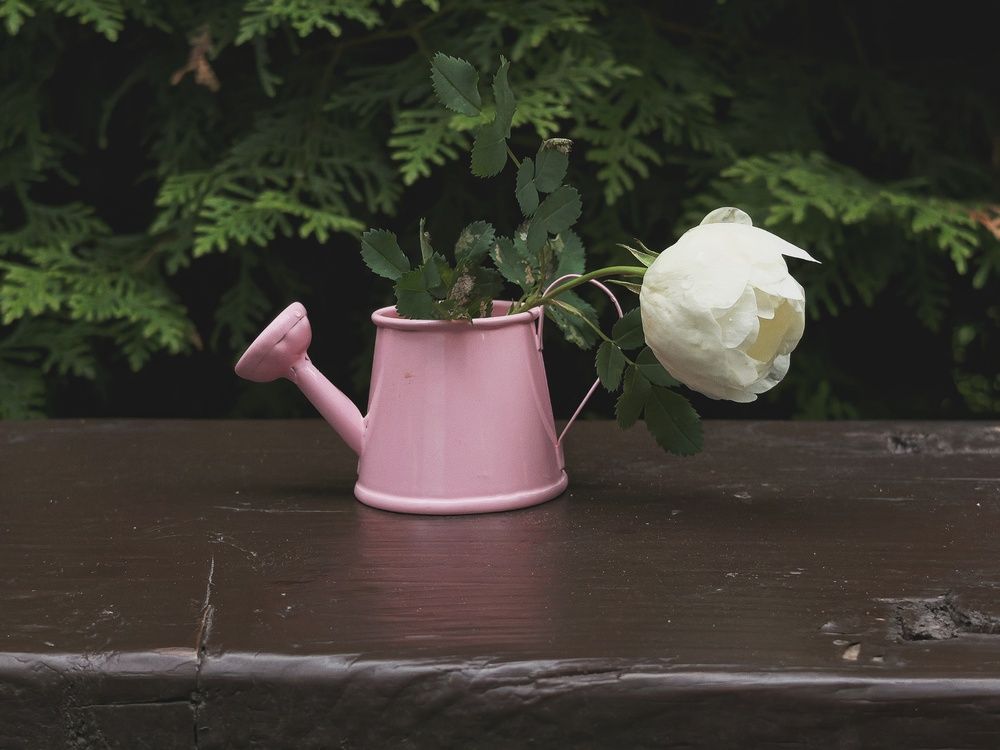 Photograph by Мария Филиппова