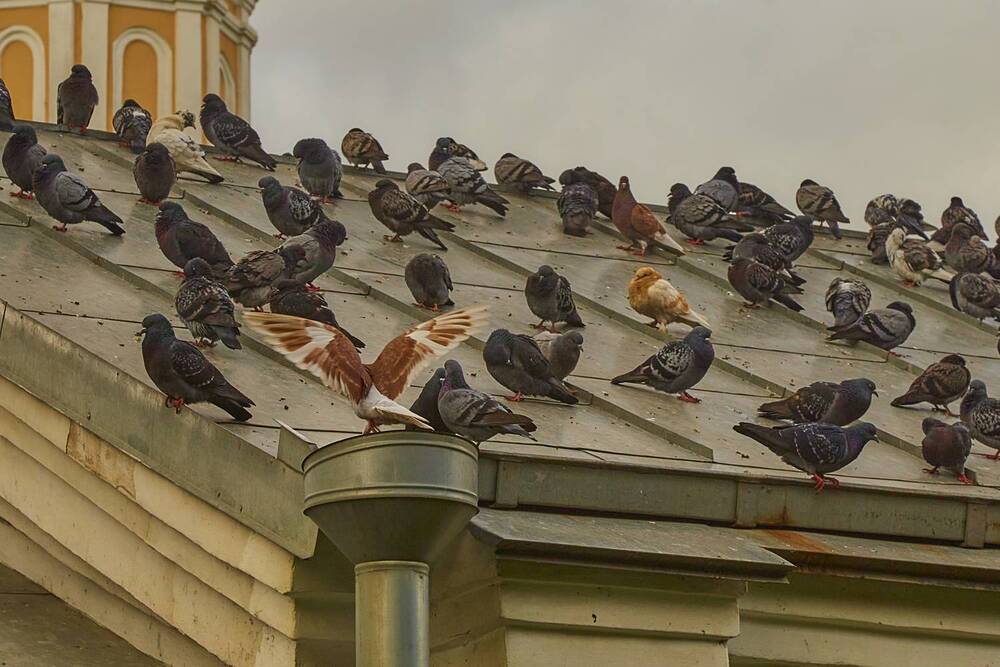 Photograph by Дмитрий Пасынков