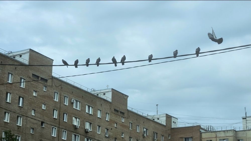 Photograph by Наталья Анисимова