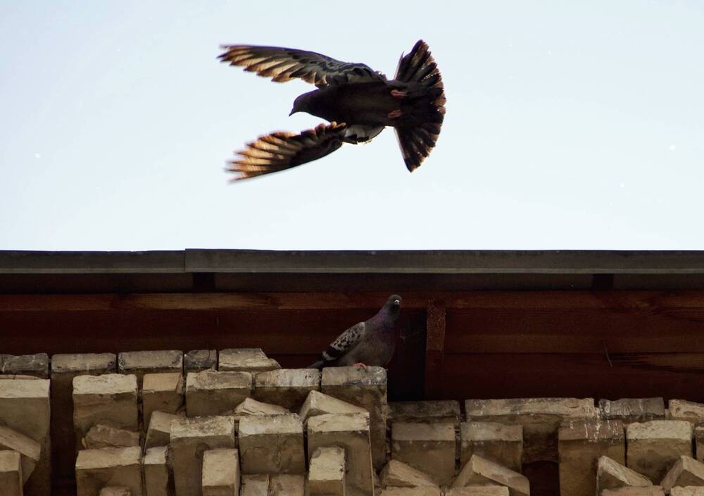 Photograph by Арина Фирсова