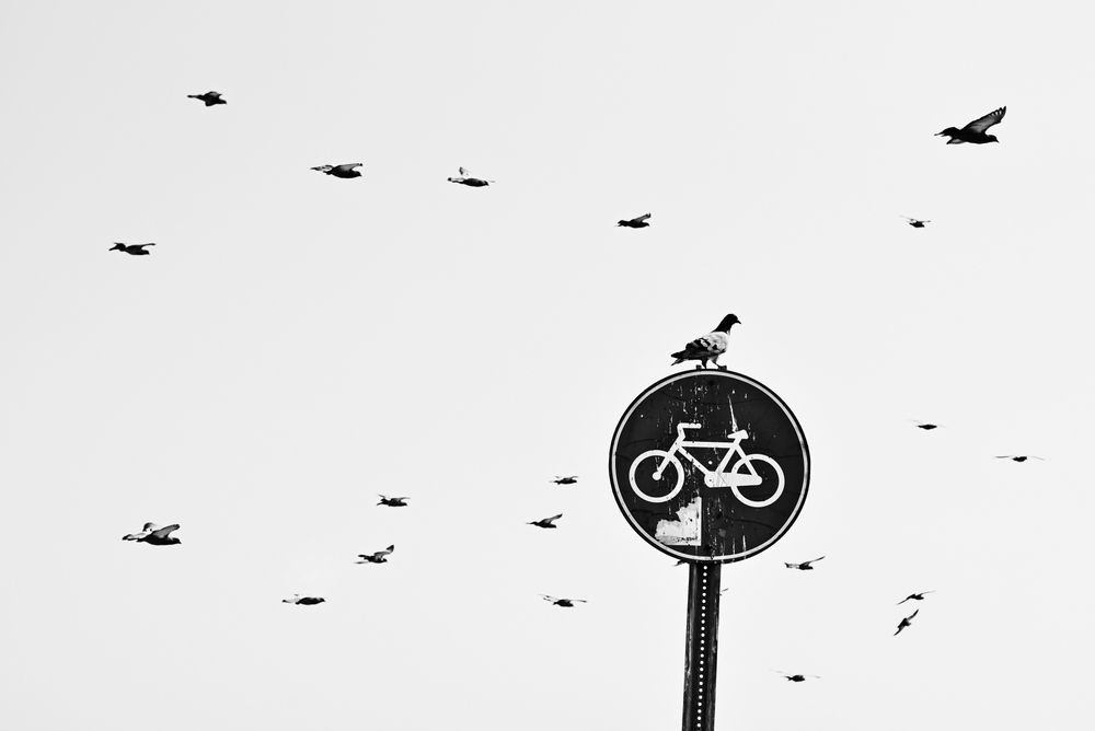 Photograph by Vladimir Shish
