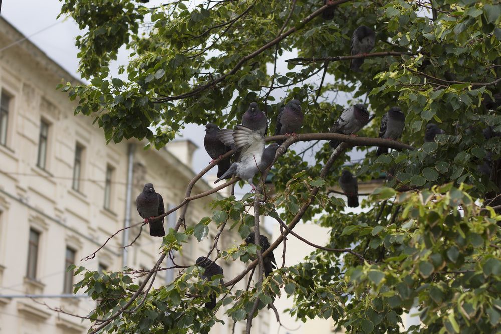 Photograph by Елена Наумова
