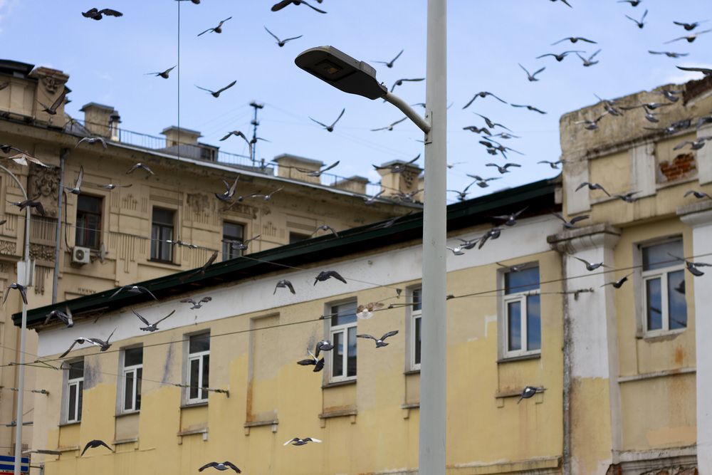 Photograph by Елена Наумова