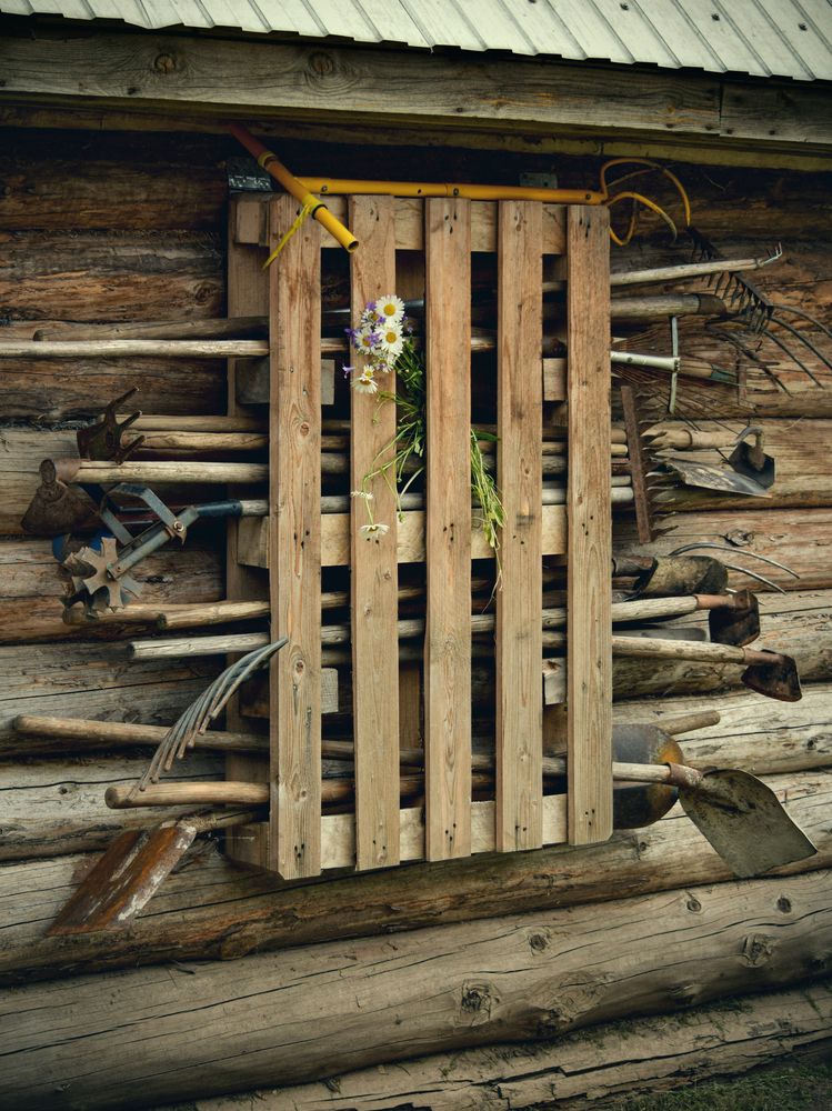 Photograph by Оксана Льдинина